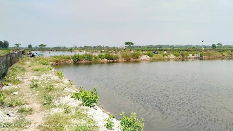 Tambak pemancingan - Image 1