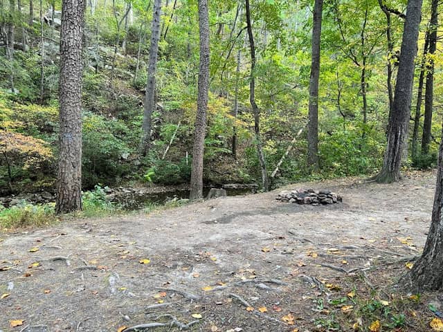 Raccoon Canyon - Image 1