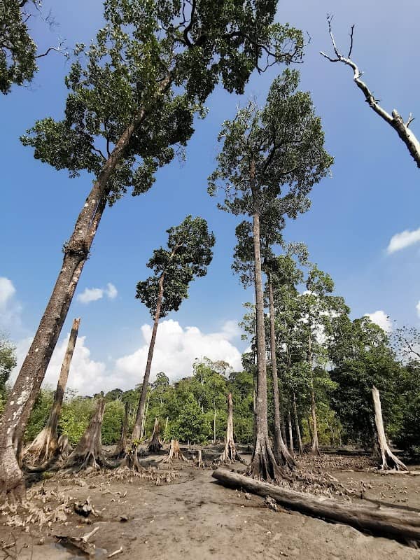 Trekking route - Image 1