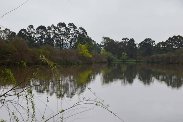 Pughs Lagoon Audio Walk - 11 Stories from the River Dyarubbin - Image 1