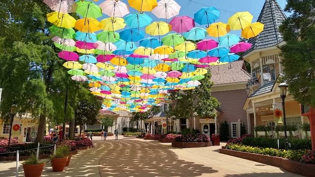 Dollywood - Image 2