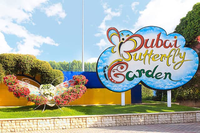 Dubai Butterfly Garden - Image 1