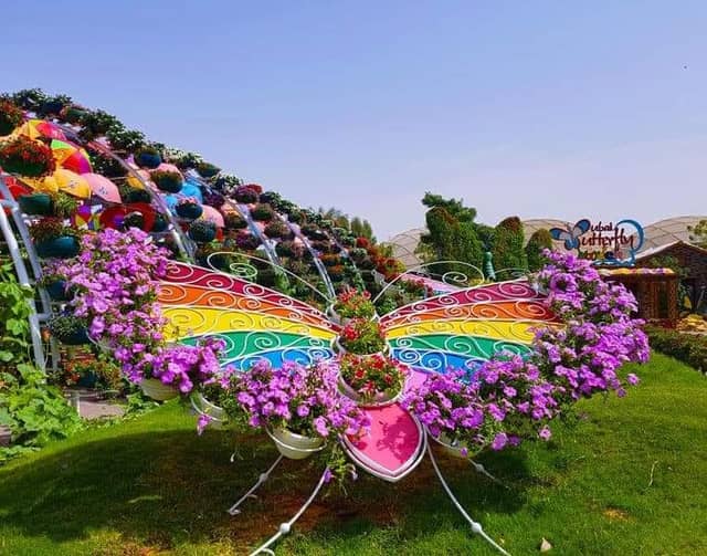Dubai Butterfly Garden - Image 2