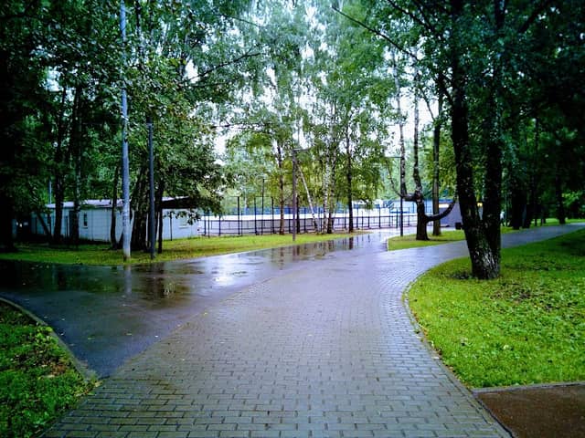 Severnyye Dubki - Image 2