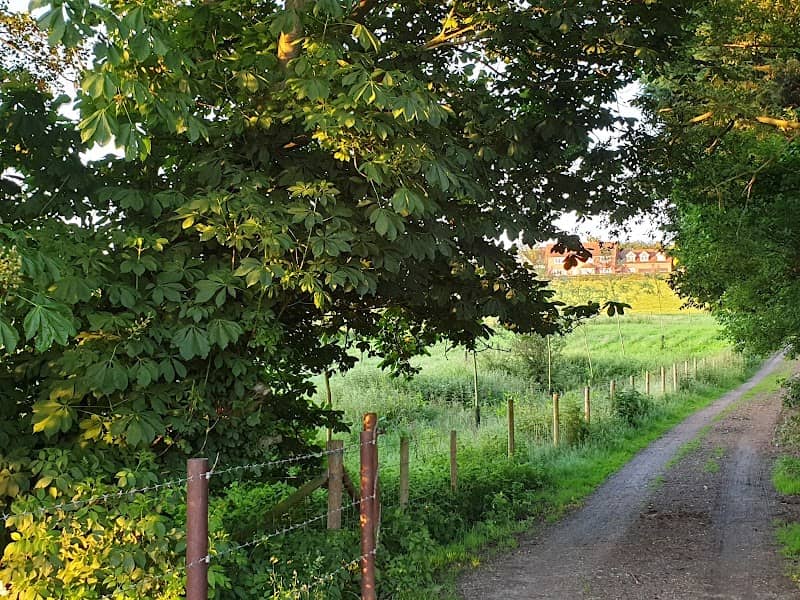 Stebbing Park - Image 2