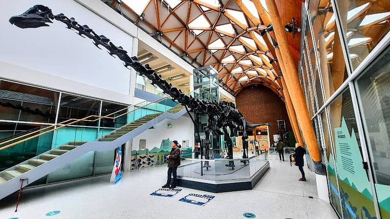 Herbert Art Gallery & Museum - Image 3