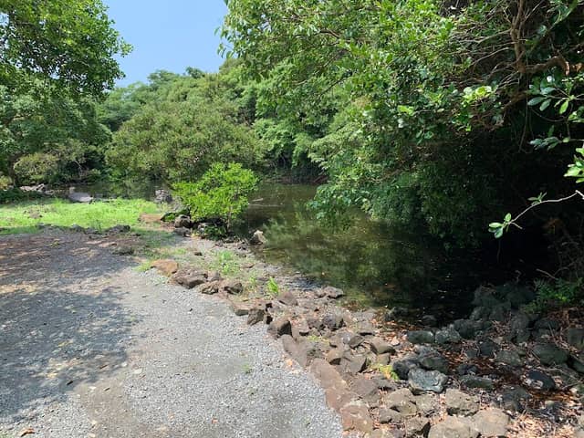 Ebi Pond - Image 2