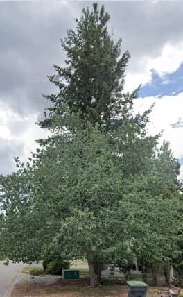Glenrosa Park - Image 1