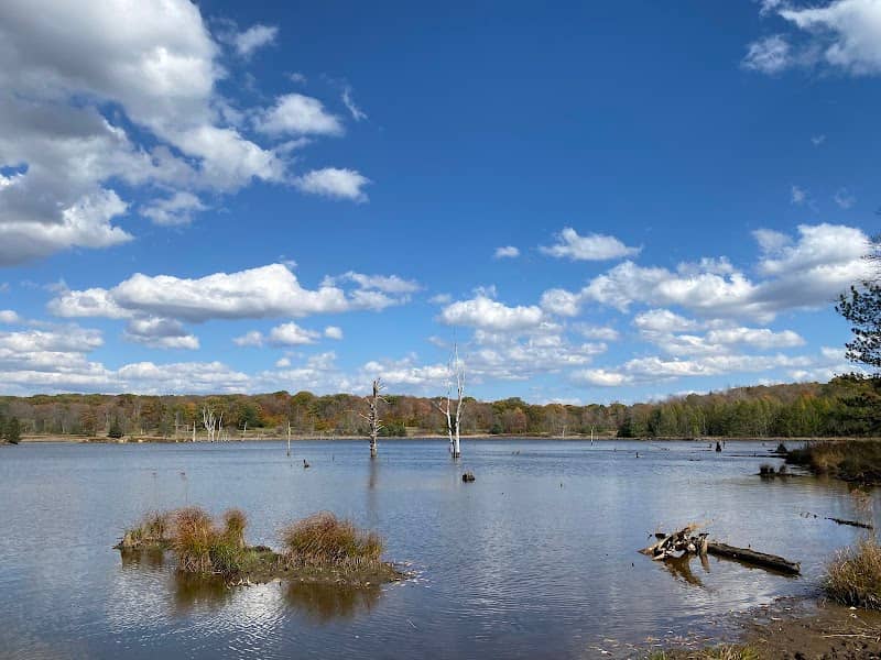 Shaggers Inn Pond - Image 2
