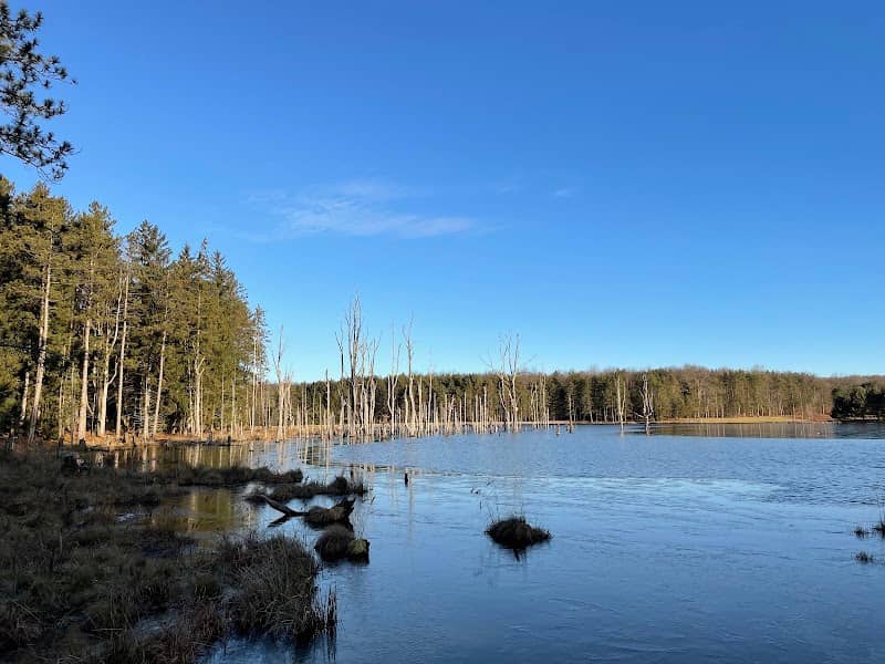Shaggers Inn Pond - Image 1