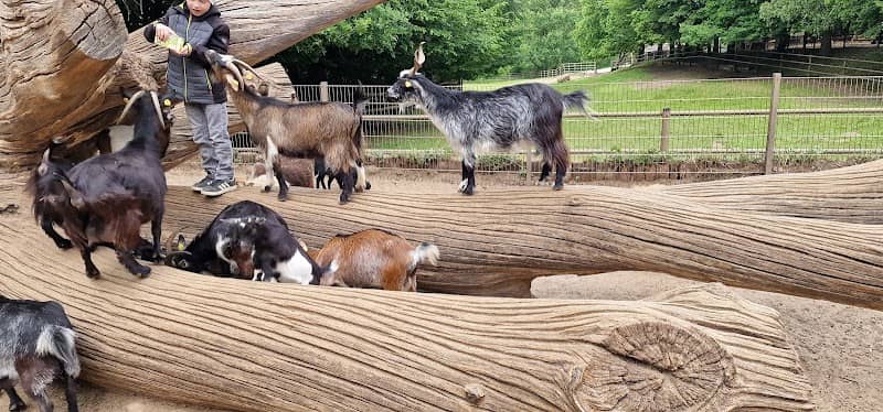 Petting Zoo Wildpark (Petting zoo with goats) - Image 1