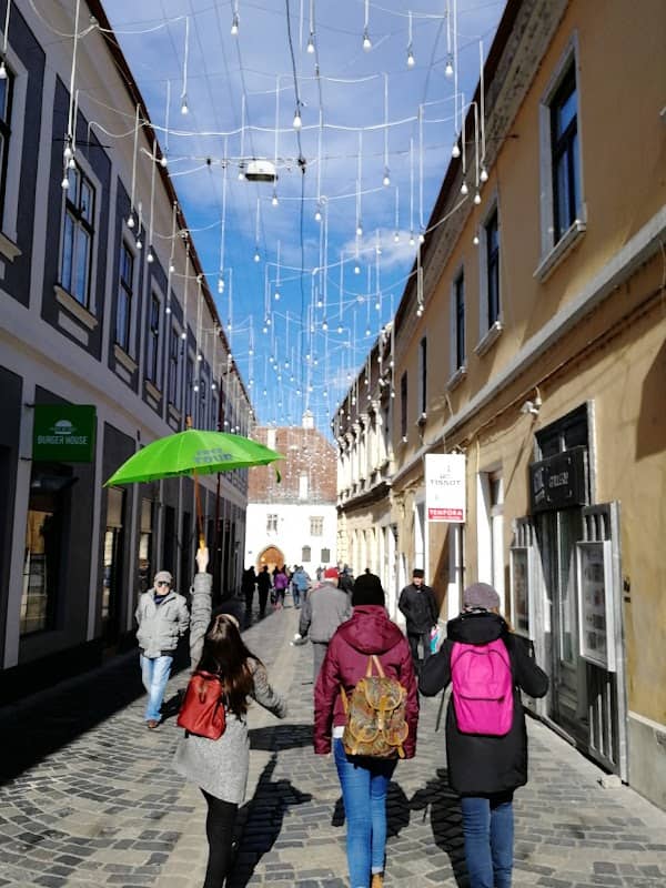 Cluj Guided Tours - Image 3