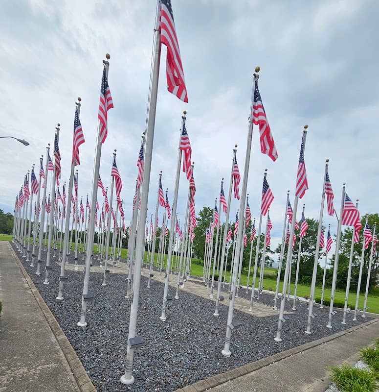 The Healing Field - Image 1