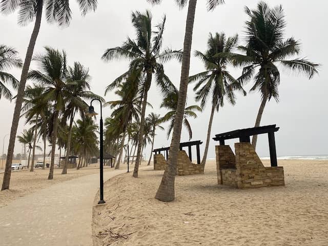Coconut beach - Image 1