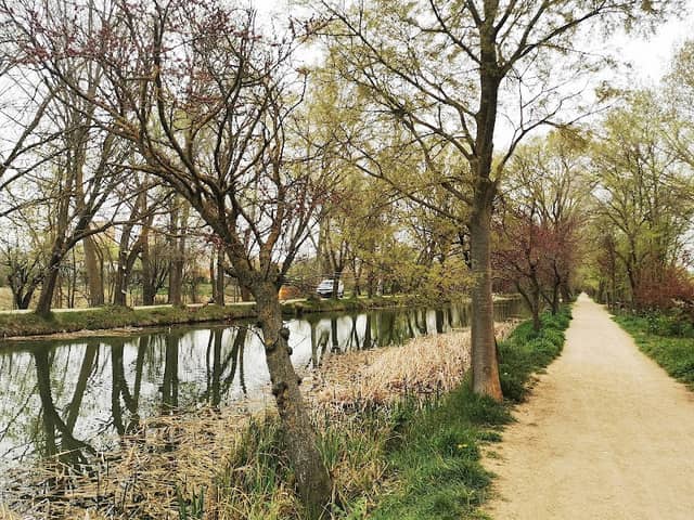 Dársena del Canal de Castilla - Image 2