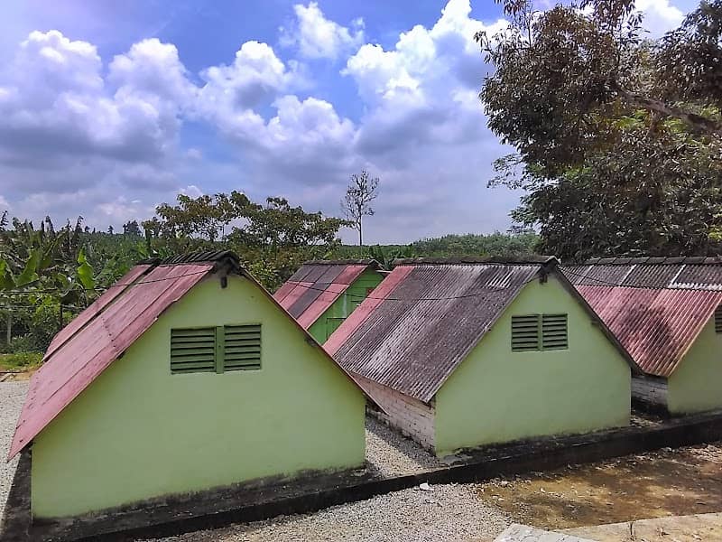 NK ADVENTURE CAMP - Image 1