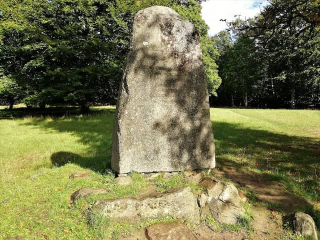 Memorial stone for King Frederik the VII - Image 1