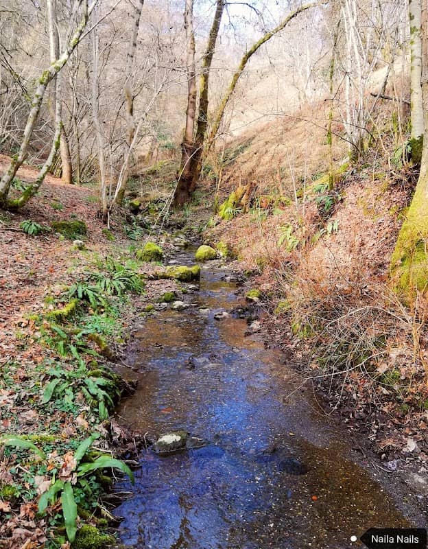 Val dell'Asino - Image 1