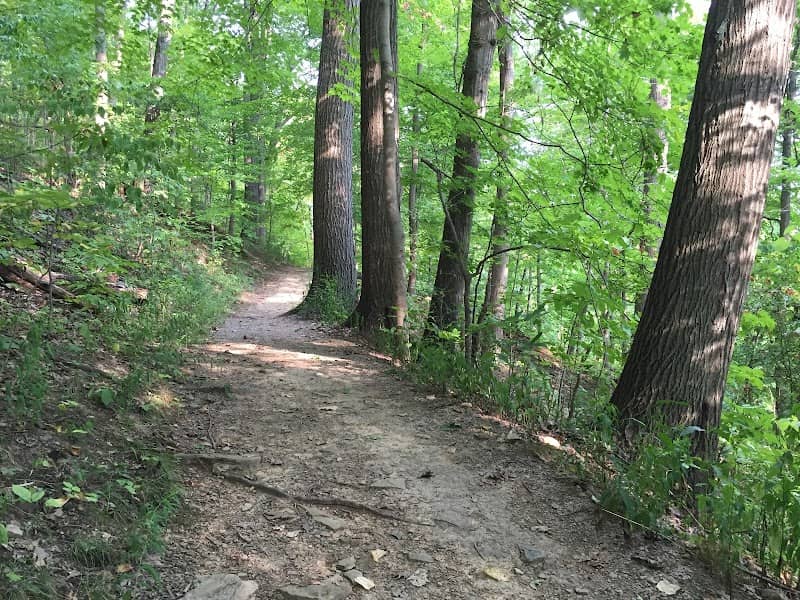 Core Arboretum - Image 3