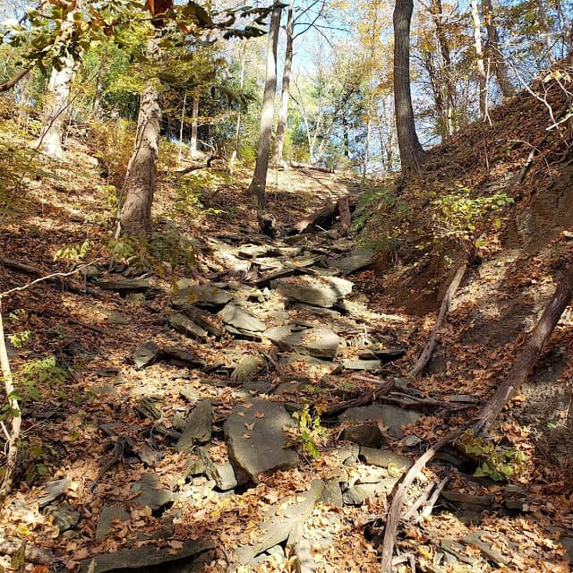 Core Arboretum - Image 1