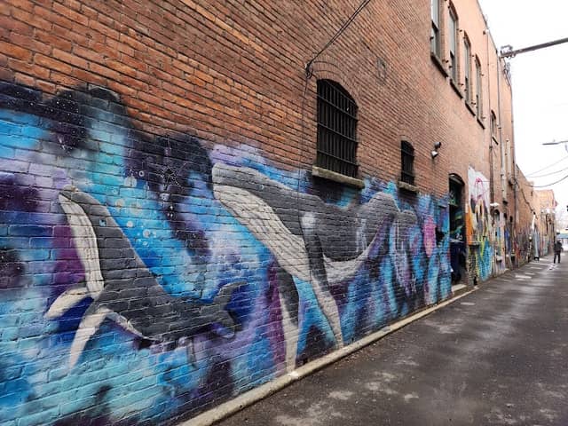 Galaxy Gallery - Image 1