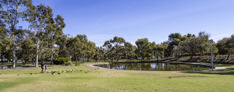 Pond and Fountain with ducks. - Image 2
