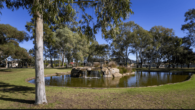 Pond and Fountain with ducks. - Image 1