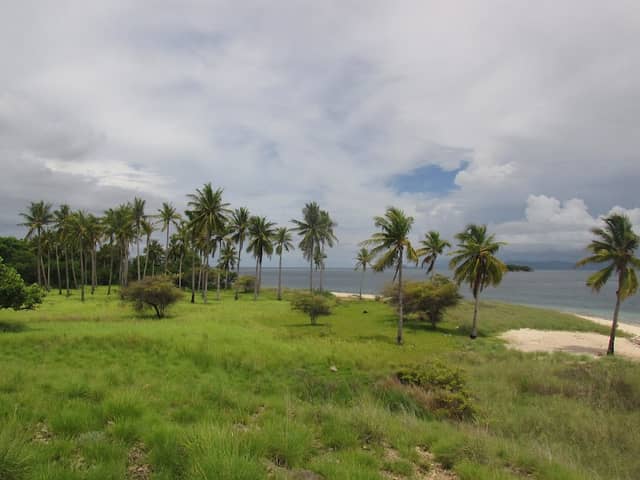 Toroh Bunging - Image 1