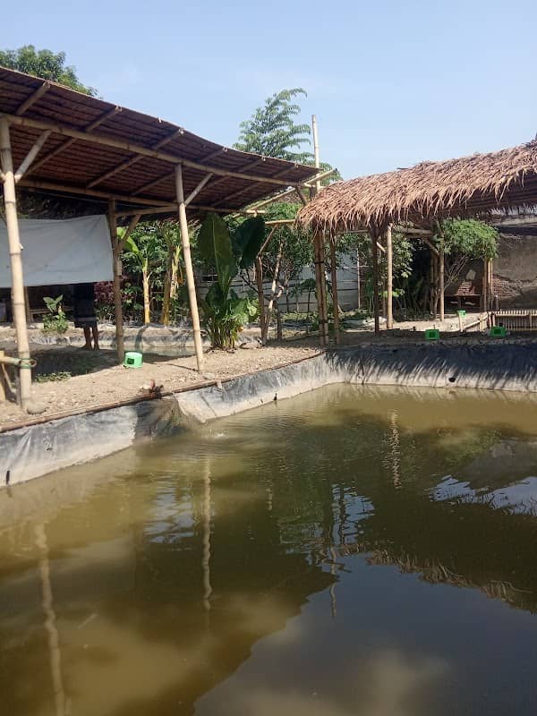 Pemancingan Saung Bambu Lawatan - Image 1