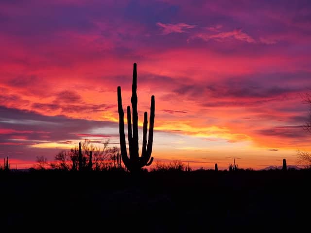 Dove Mountain Park - Image 1