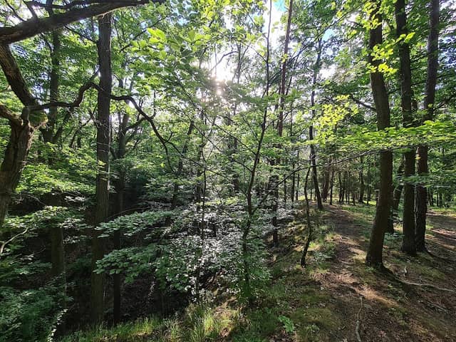 Malá rokle - Image 1