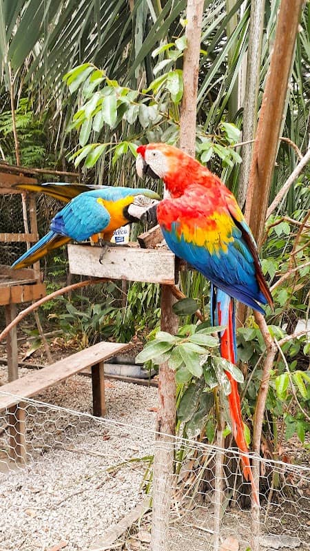 Parque Ambiental Municipal - Image 1