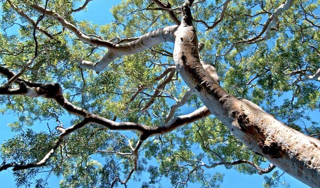 Georges River National Park - Image 1