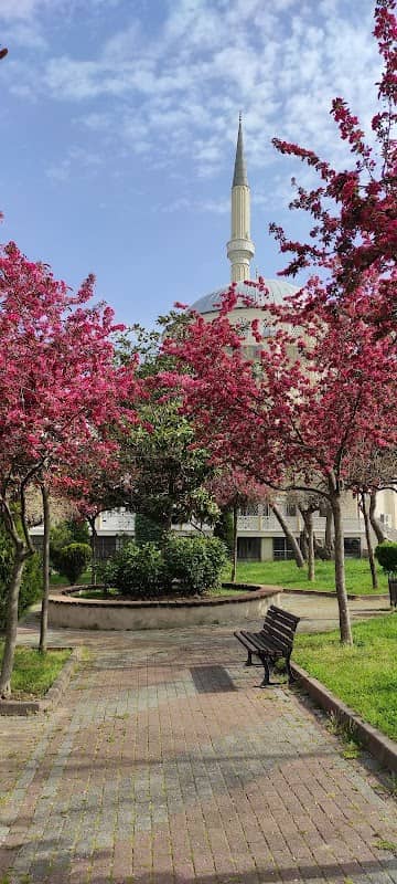Şehit Başkomiser Ahmet Zehir Parkı - Image 1