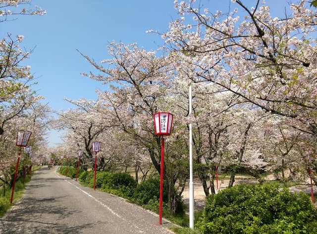 Bujo Park - Image 1