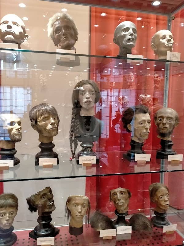 Paolo Gorini Museum - Image 1