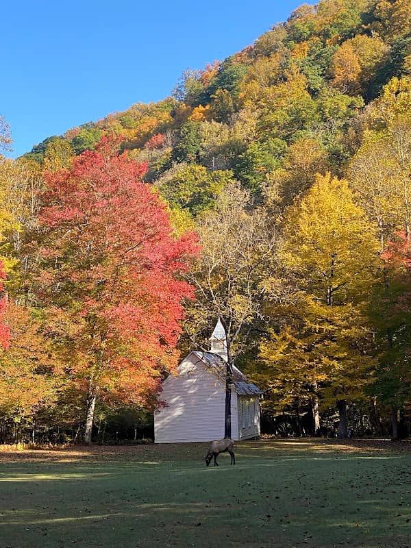 Maggie Valley - Image 1