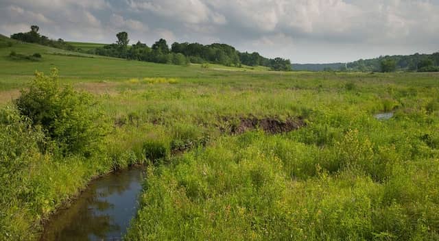 Barneveld Prairie - Image 1