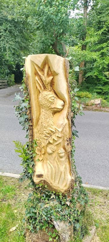 Drumalee Manor Gintas Carving wood - Image 1