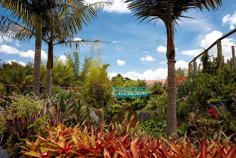 Tropical Garden - Image 1