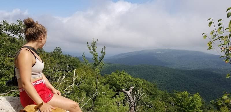 Beahms Gap Overlook - Image 1