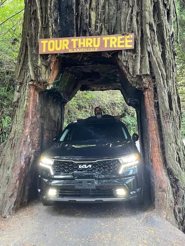 Klamath Tour Thru Tree - Image 1