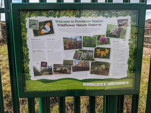 Penistone Station Wildflower Nature Reserve - Image 2