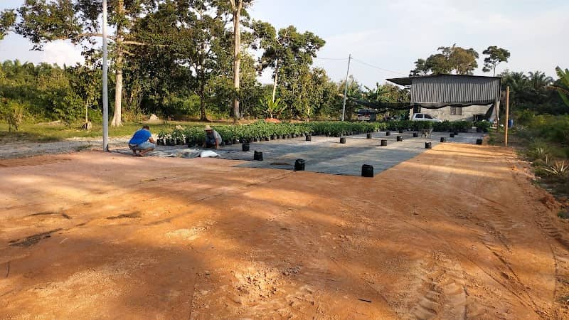 Zam Garden - Image 2
