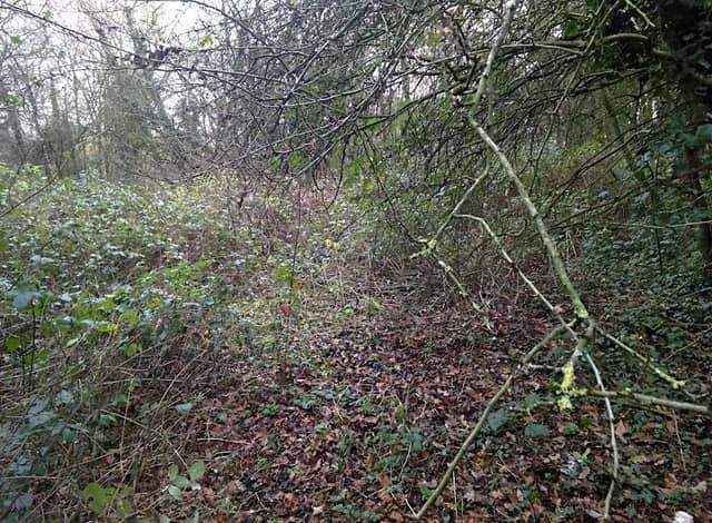 Marlborough Park - Image 2