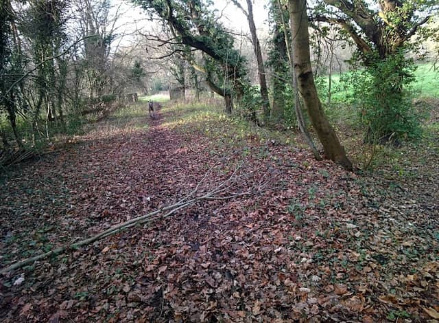 Marlborough Park - Image 1
