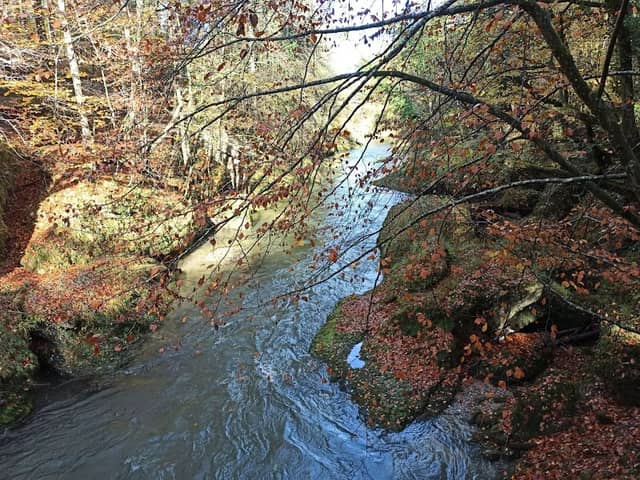 Weg des Friedens - Image 1