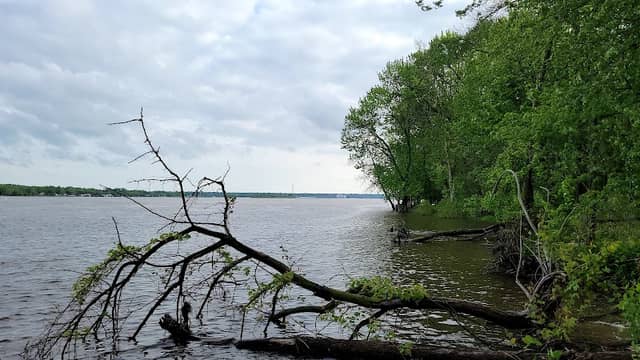 Pigeon Creek Park - Image 1