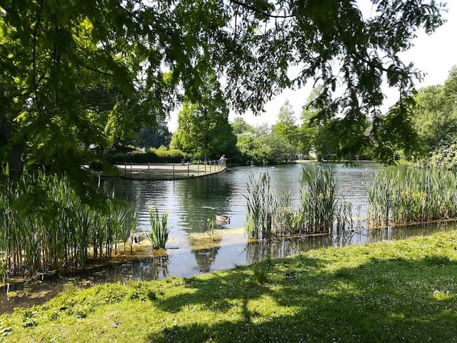 Dorneburger Park - Image 1