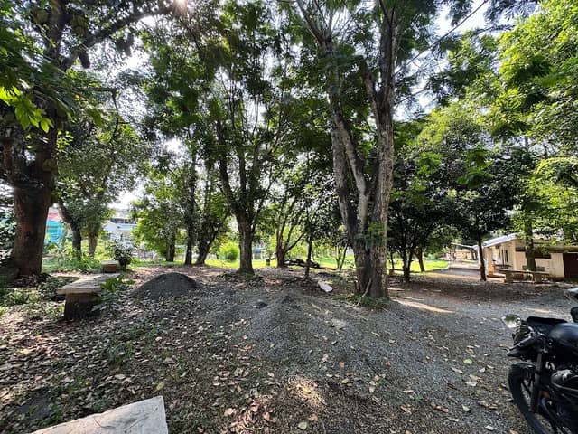 JP Nagar Park - Image 1